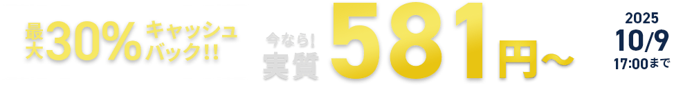 30%åХåʤ¼581ߡ 2025ǯ85()  2025ǯ109()ޤǡ
