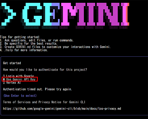 Use Gemini API Keyפ