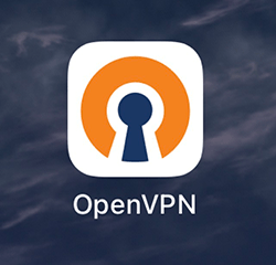 OpenVPN Connect APPアイコン