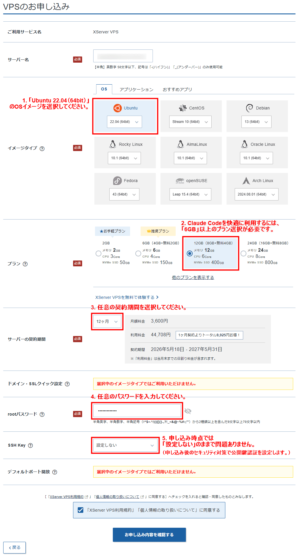 画像：VPSのお申し込み画面（入力例）